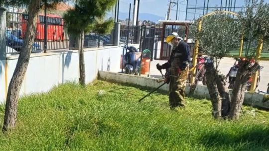 Didim'de lise bahçeleri temizlendi