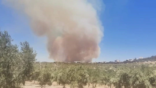 Didim'de makilik alanda yangın