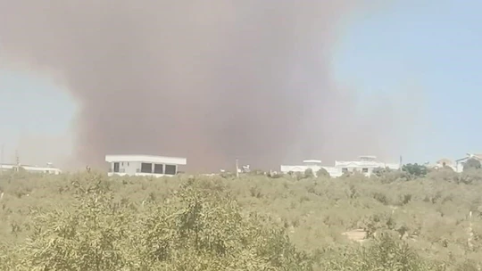 Didim'de makilik alanda yangın