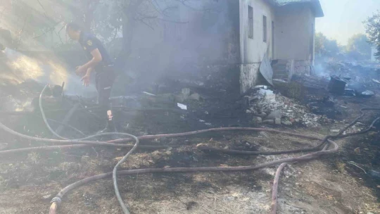 Didim'de makilik ve zeytinlik yangını korkuttu