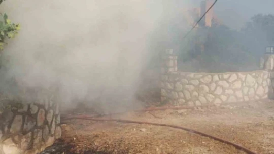 Didim'de makilik ve zeytinlik yangını korkuttu