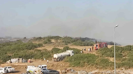 Didim'de makilik yangını