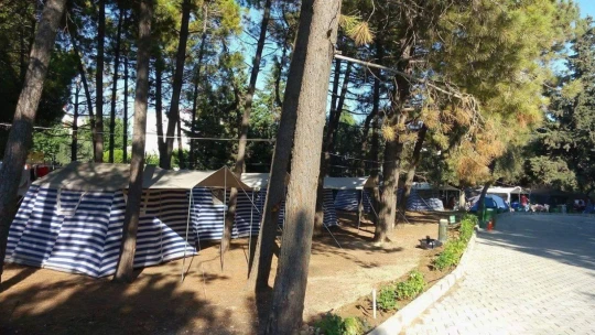 Didim'de orman kampı açıldı