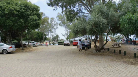 Didim'de orman kampı açıldı