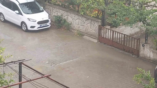 Didim'de sağanak yağış etkili oldu