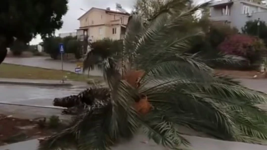 Didim'de sağanak yağış ve fırtına etkili oldu