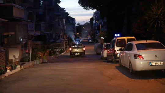 Didim'de sinek ve larvalara karşı ilaçlama çalışmaları sürüyor