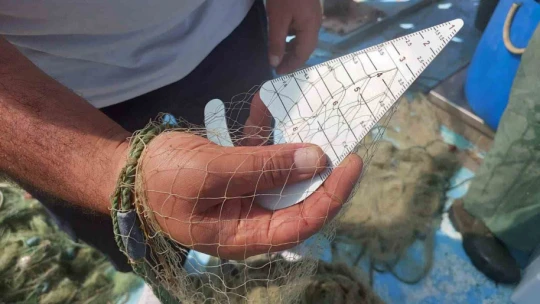 Didim'de su ürünleri kontrolleri devam ediyor