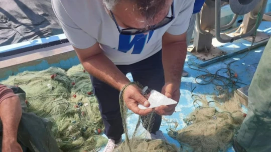 Didim'de su ürünleri kontrolleri devam ediyor