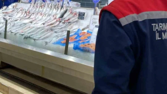Didim'de su ürünleri kontrolleri sürüyor