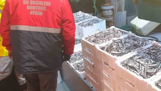Didim'de su ürünleri kontrolleri sürüyor