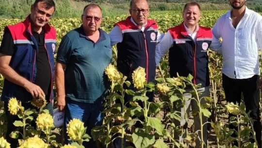 Didim'de üretim alanları kontrol edildi