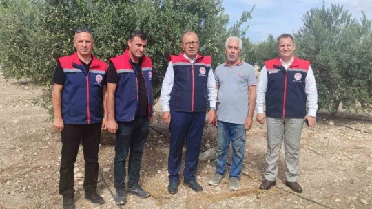 Didim'de üretim alanları kontrol edildi