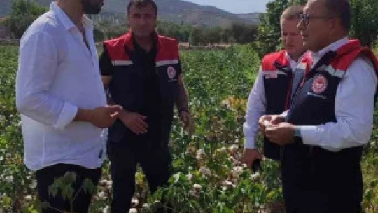 Didim'de üretim alanları kontrol edildi