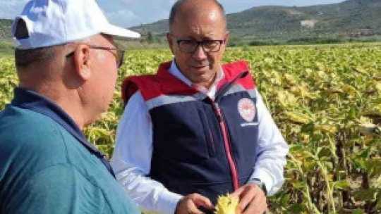 Didim'de üretim alanları kontrol edildi