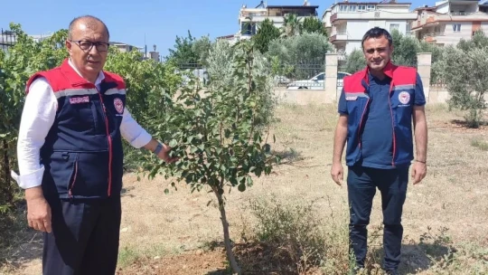 Didim'de yağmur suyu hasadı sistemiyle 20 ton su tasarrufu sağlandı