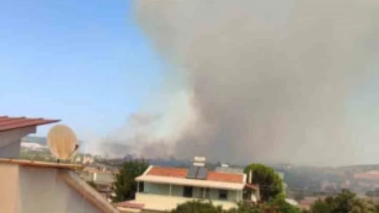 Didim'deki makilik alan yangınını söndürme çalışmaları sürüyor