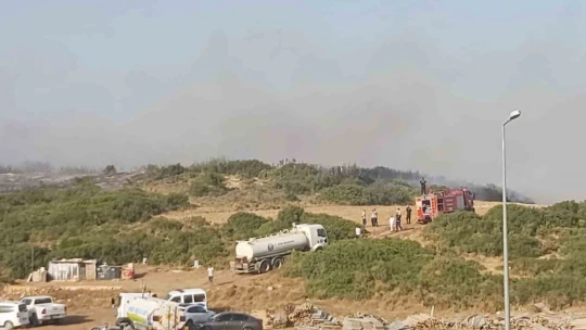 Didim'deki makilik yangını kontrol altına alındı