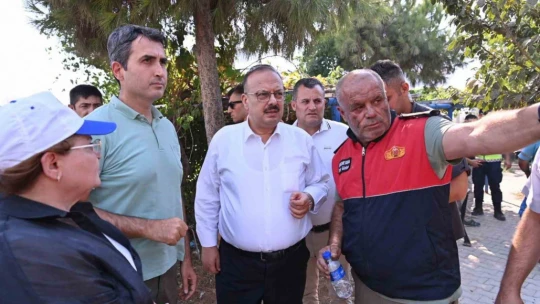 Didim'deki makilik yangınında çalışmalar devam ediyor