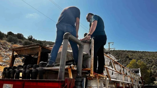 Didim'den Tunus'a 1 milyon çipura yavrusu