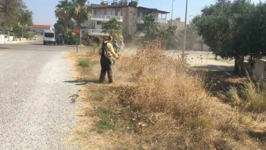 Didim genelinde temizlik ve yeşil alan bakımları yaz boyunca devam edecek