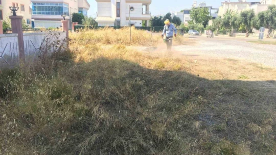 Didim genelinde temizlik ve yeşil alan bakımları yaz boyunca devam edecek