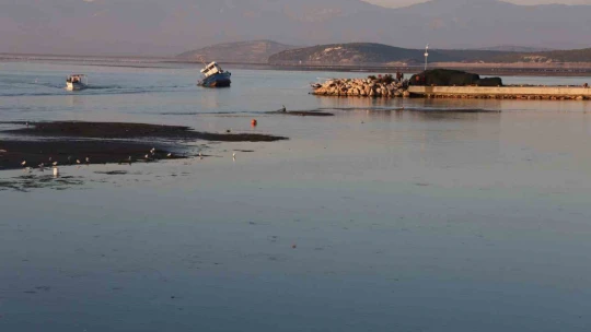 Didim Taşburun Balıkçı Barınağı'nın içler acısı hali görenleri şaşırtıyor