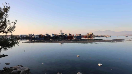 Didim Taşburun Balıkçı Barınağı'nın içler acısı hali görenleri şaşırtıyor