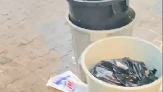 Didim temizliğe hasret kaldı