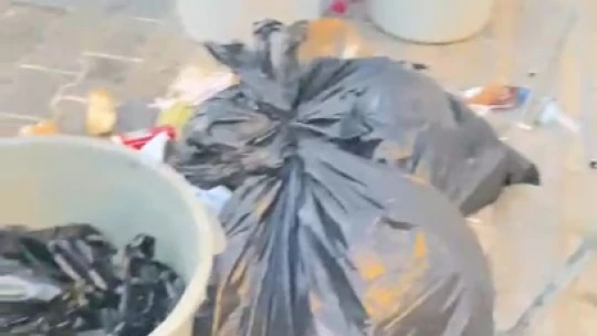 Didim temizliğe hasret kaldı