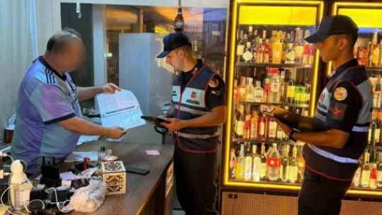 Didim ve Sultanhisar'da 404 şahıs, 101 araç sorgulandı