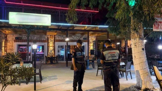 Didim ve Sultanhisar'da 404 şahıs, 101 araç sorgulandı