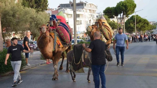 Didim Zeytin Festivali başladı