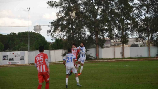Didimspor evinde ağırladığı Irlıganlıspor'u 3-1 mağlup etti