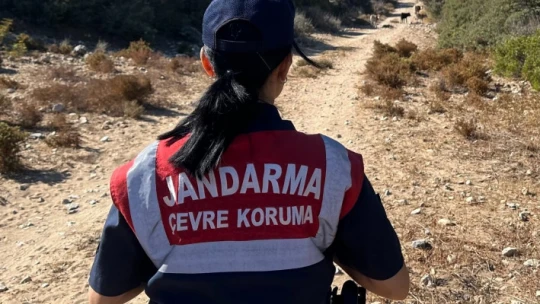 Dilek Yarımadası'nda jandarma denetimi