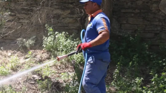 Direcik Mahallesi'nde belediye ekipleri iş başı yaptı
