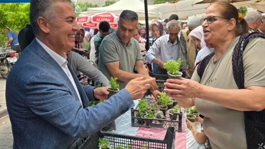Doğal sivrisinek kovar fesleğenler yoğun ilgi gördü