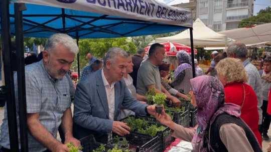 Doğal sivrisinek kovar fesleğenler yoğun ilgi gördü