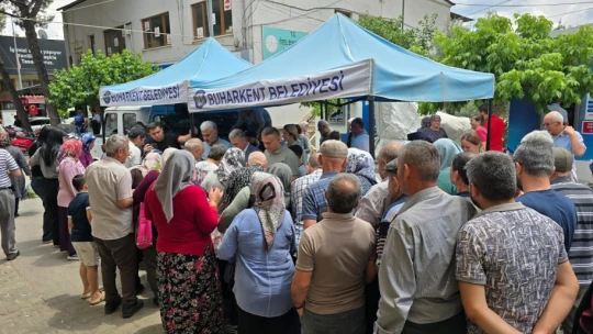 Doğal sivrisinek kovar fesleğenler yoğun ilgi gördü