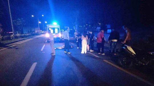 Domuz sürüsüne çarpan motosiklet sürücüsü ağır yaralandı
