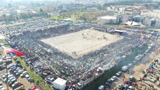 Dünya kupasının sahibi 'Ayhan Bey' adlı pehlivan deve oldu