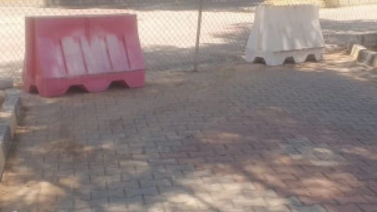 Dünyaca ünlü antik kentte kuru otlar temizlendi