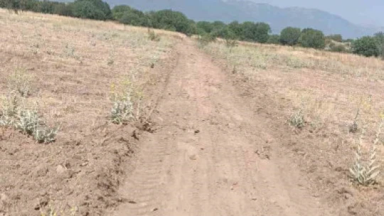 Dünyaca ünlü antik kentte tedbirler alındı
