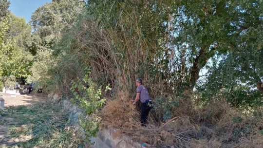 Efeler Belediyesi mezarlıklarda bakım ve temizlik çalışmalarını sürdürüyor