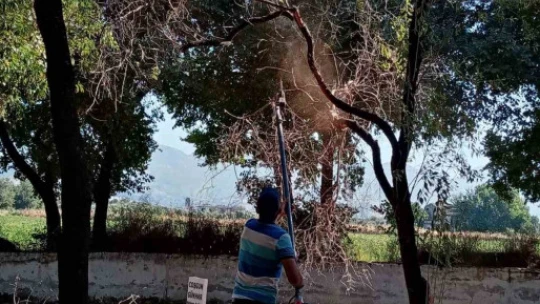 Efeler Belediyesi mezarlıklarda bakım ve temizlik çalışmalarını sürdürüyor