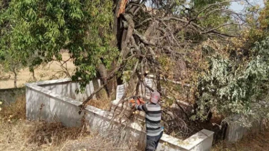 Efeler Belediyesi mezarlıklarda bakım ve temizlik çalışmalarını sürdürüyor