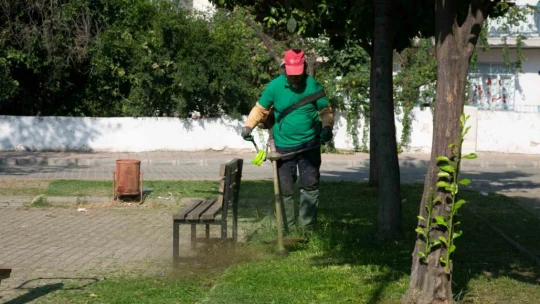 Efeler Belediyesi parkların bakımı için harekete geçti
