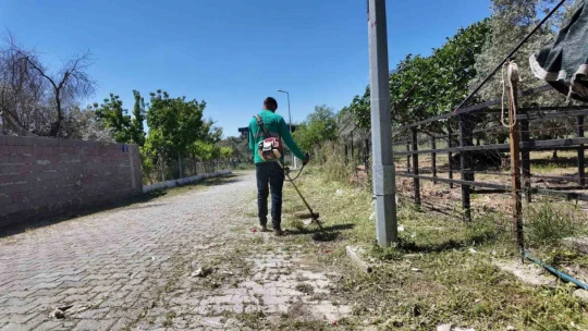 Efeler Belediyesi parkların bakımı için harekete geçti
