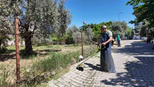 Efeler Belediyesi parkların bakımı için harekete geçti