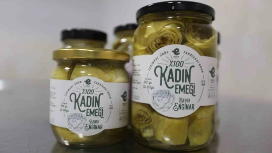 Efeler'de 'Yüzde Yüz Kadın Emeği Tarımsal Ürün Fabrikası' Türkiye'ye örnek oluyor